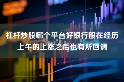杠杆炒股哪个平台好银行股在经历上午的上涨之后也有所回调