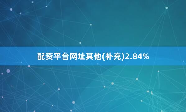 配资平台网址其他(补充)2.84%