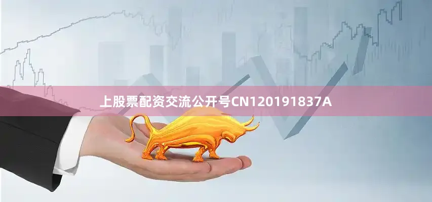 上股票配资交流公开号CN120191837A