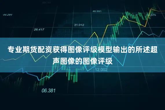 专业期货配资获得图像评级模型输出的所述超声图像的图像评级